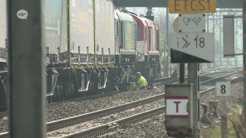 Defecte goederentrein in Holsbeek zorgt vandaag voor heel wat hinder tussen Aarschot en Leuven: "Hopelijk opgelost voor de avondspits"