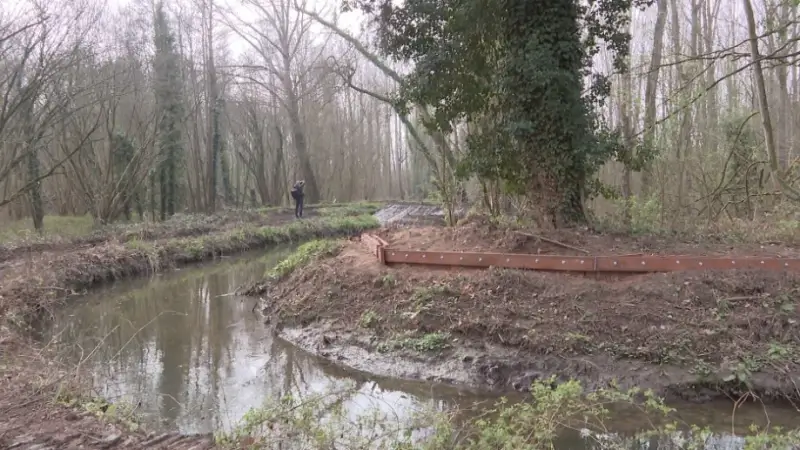 Oeverdijk van Molenbeek in Silsombos in Kortenberg hersteld: "Geen water meer in natuurgebied"