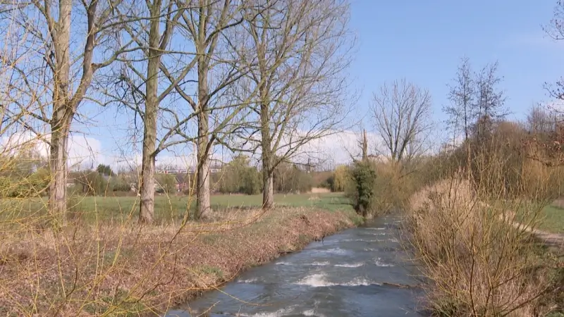 Stad Tienen start project om Mene vrij te laten meanderen in de strijd tegen wateroverlast: "Extremere weersomstandigheden opvangen die er in de toekomst aankomen"