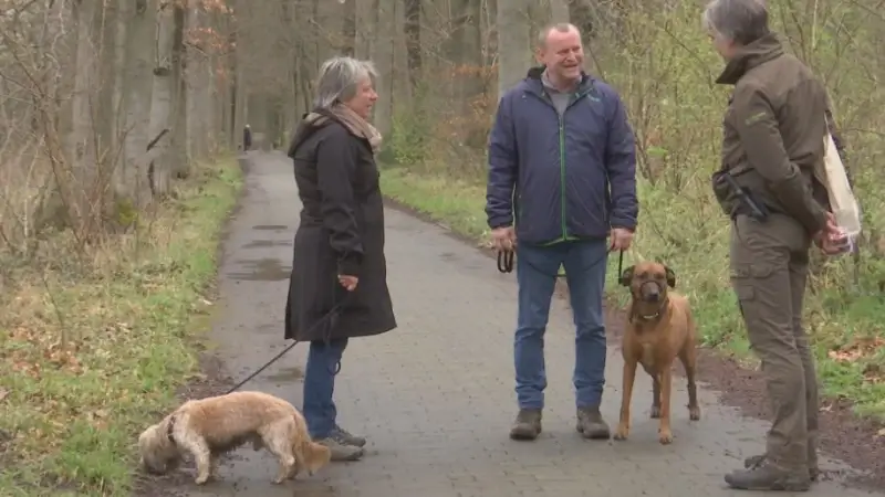 Boswachters betrappen meer dan 60 loslopende honden