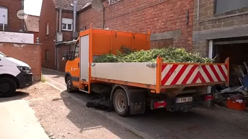 Politiezone Demerdal zet strijd tegen drugs verder na succesvol ingrijpen vorig jaar: "Er zal altijd drugs in omloop zijn en daar zetten we fors op in"