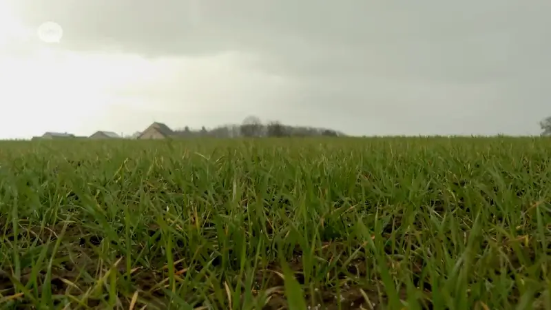 Vier jaar na aankoop gronden stadspark in Scherpenheuvel eindelijk schot in de zaak? "We hopen vergunning nu echt zo snel mogelijk op zak te hebben"