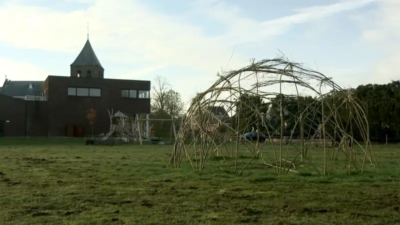 Vandalen vernielen wilgenhut aan De Keyt in Messelbroek, politiezone Demerdal start onderzoek