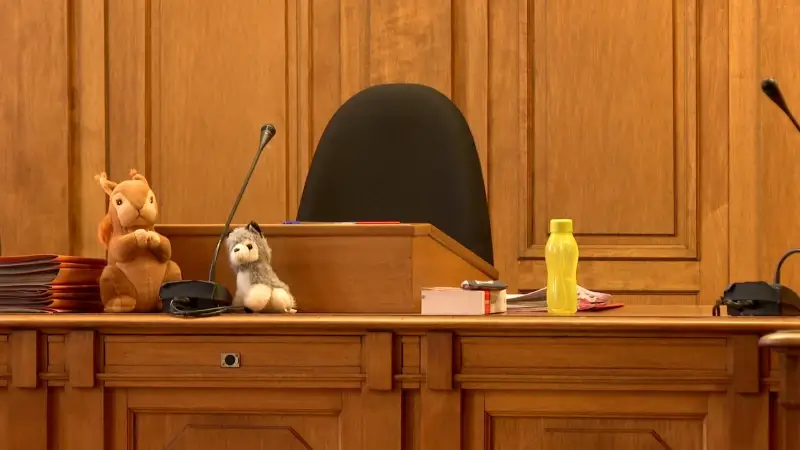 Uitbater hondenpension uit Scherpenheuvel-Zichem krijgt werkstraf van 75 uur en boete van 2.000 voor moord op 7 puppy's