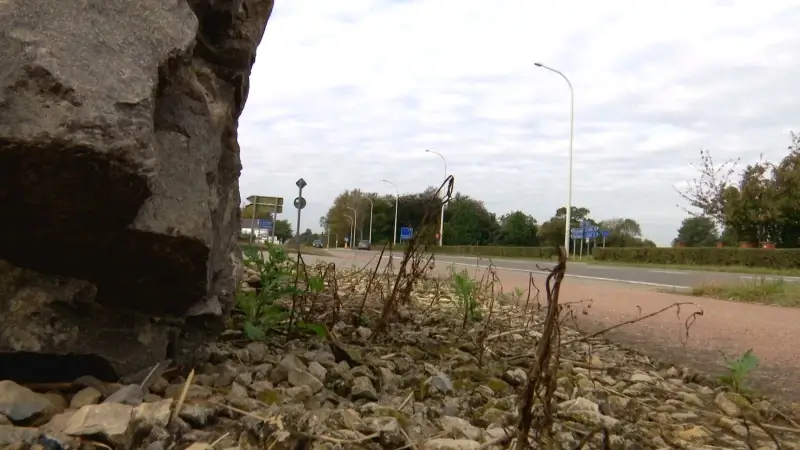 Man van 50 krijgt 3 maanden cel met uitstel voor dodelijk ongeval in Tienen, familie krijgt 85.000 euro schadevergoeding