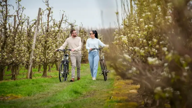 Hoofdafbeelding voor artikel Boerenbond vraagt waakzaam…
