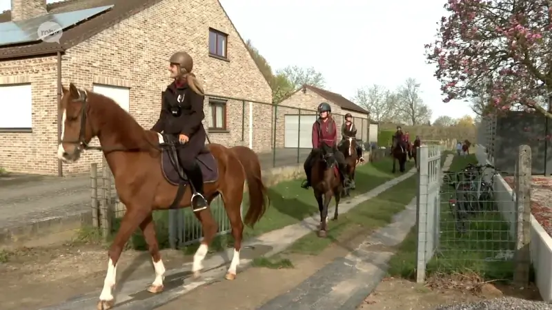 Stefanie Denis trekt voor zevende keer op rij vanuit Landen met paarden naar Hakendover: "Medaille krijgt mooi plekje"