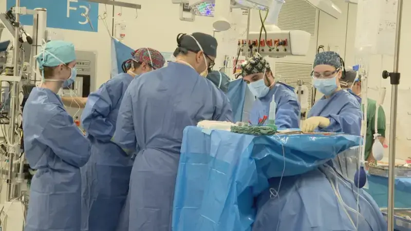 2000e levertransplantatie is belangrijke mijlpaal voor UZ Leuven: "Absolute wereldtop"