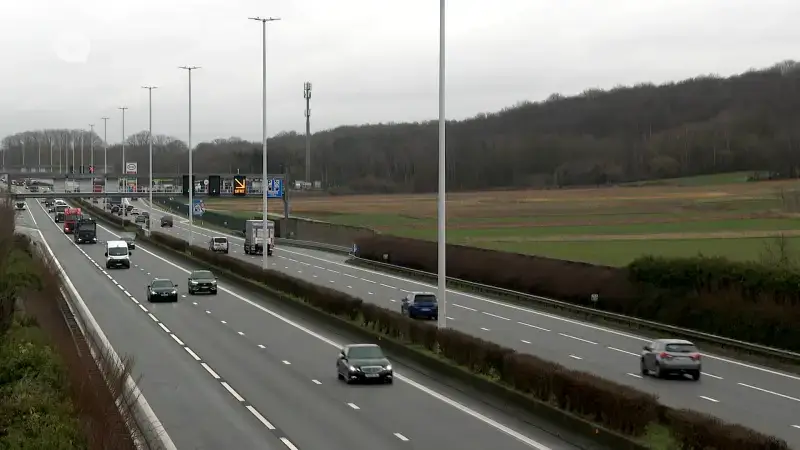 Ook Rotselaar geeft negatief advies voor 2 windturbines langs E314: "Te grote impact op de natuur"