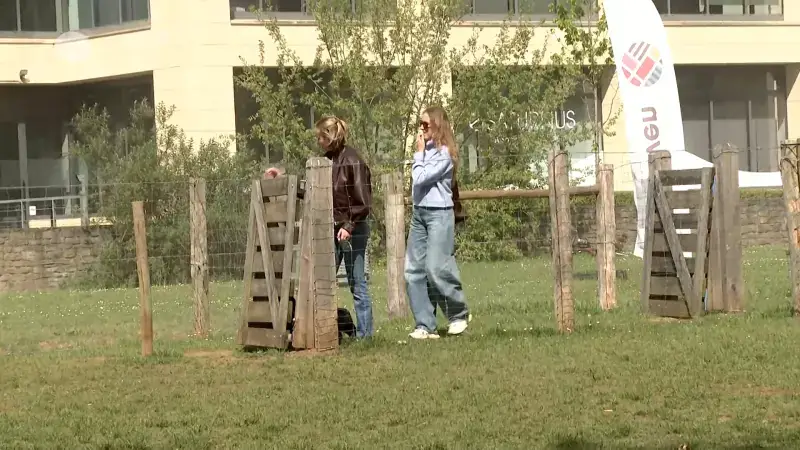 Hondenloopzones Sint-Maartensdal en Philipssite officieel geopend