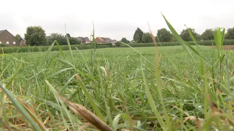 Gemeente Kortenberg koopt tiental percelen langs Noodbosweg voor bouw van nieuwe sporthal