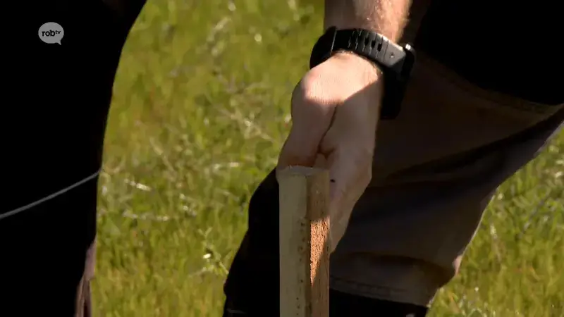 Hoegaarden vraagt subisidie aan van 1 miljoen euro aan voor bouw nieuwe sporthal: "Eind juni signaal of we in aanmerking komen"