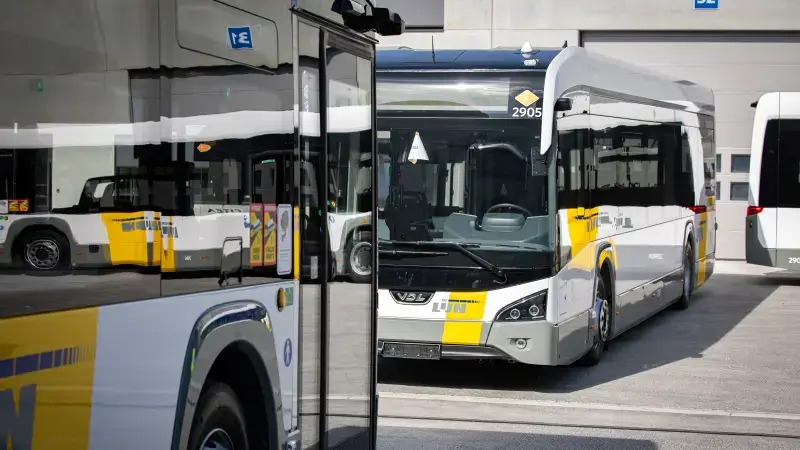 De Lijn past 1 op 3 lijnen in onze regio aan vanaf 1 juli: "Geen optie om besparingen uit te stellen"