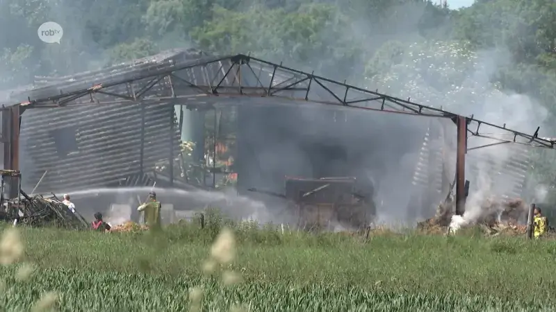 Grote stalbrand in Kortenaken: "Geen gewonden, wel kans op asbestgevaar"