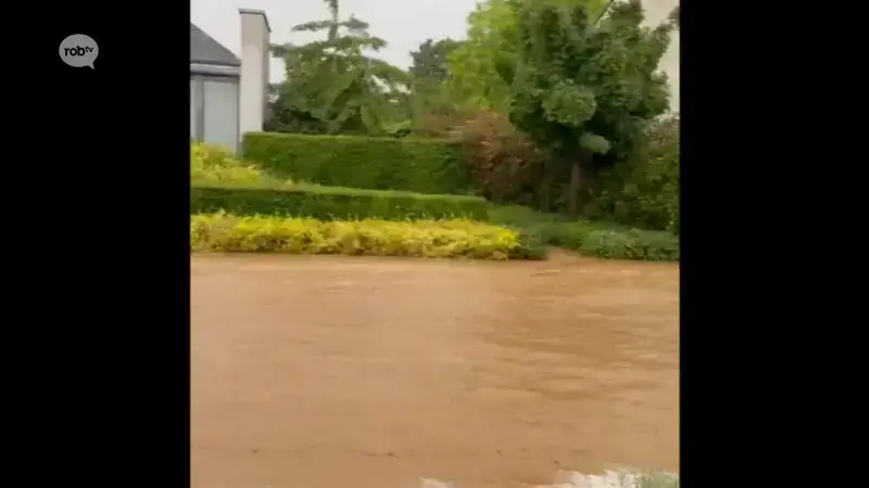 Zware onweersbui zorgt voor wateroverlast in Herent en Kortenberg: "Ik dacht na het eerste onweer zal het stoppen met regenen, maar het kwam telkens terug"