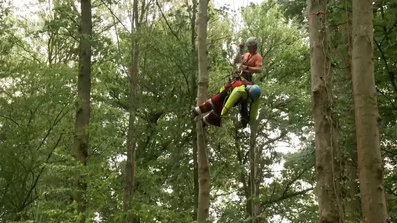 60 waaghalzen strijden in Bierbeek om titel van Belgisch kampioen boomklimmen: 'Je moet vetrouwen hebben in de boom"