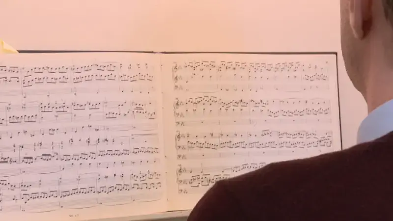 Mozart en Bach op indrukwekkende orgel van Sint-Michielskerk in Leuven: "Tot rust komen met heerlijke muziek"