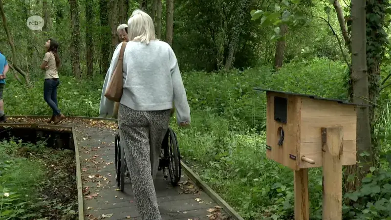 Nieuwe rolstoeltoegankelijk wandelpad en speelzone moet het Silsombos toegankelijk maken voor iedereen