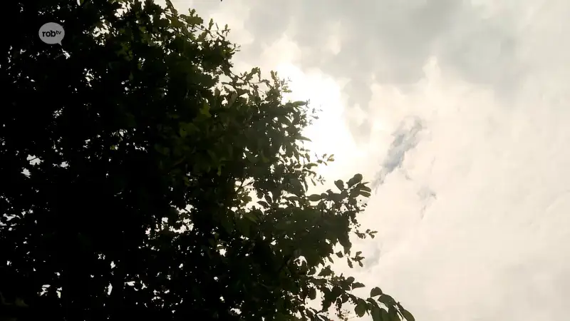 Tropische dagen en tweede hittegolf van het jaar staan voor de deur: "Vrijdag en maandag mogelijk tot 35 graden Celsius"