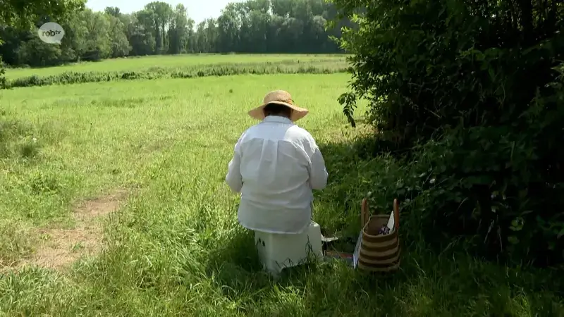 Landschapskunstenaars schilderen Doode Bemde op bloedhete zondagnamiddag: "Mooi zicht vanuit schaduwplekje"