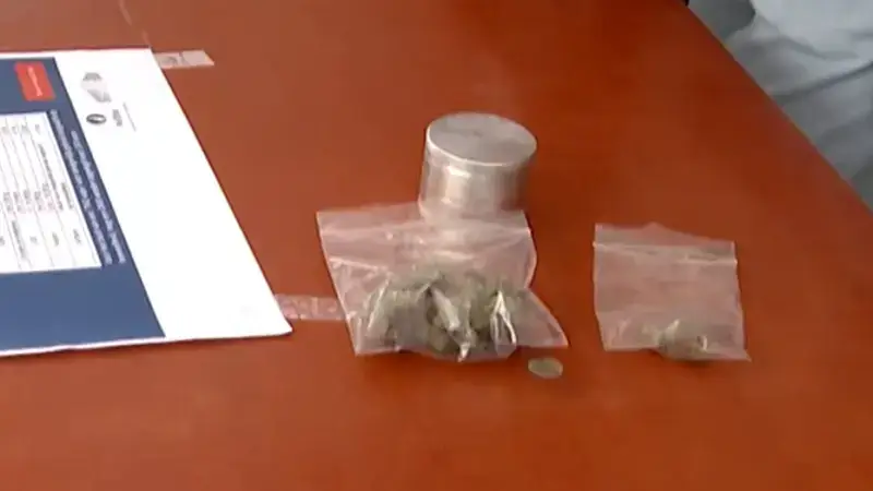128 festivalgangers betrapt met drugs tijdens Rock Werchter