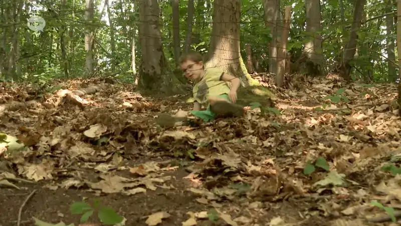 Survivalkamp van vzw WoodKid in Holsbeek: "Moeilijker dan vroeger om monitoren te vinden"