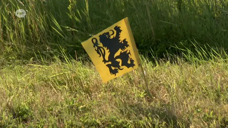 Taal Aktie Komitee plaatst op Vlaamse feestdag Vlaamse vlaggetjes op rotonde in Erps-Kwerps
