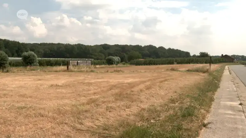 Nieuw bufferbekken aan de Rode in Glabbeek: "Een volledige heraanlegging"