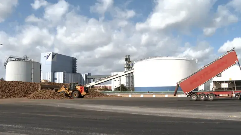 Tiense Suiker leed vorig jaar een recordverlies: "Voor het eerst in 18 jaar nettoverlies van 43 miljoen euro"