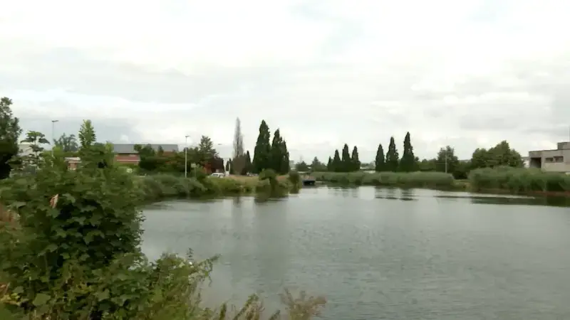 Volgende zomer zwemmen in de Leuvense vaart? N-VA vraagt stad om op zoek te gaan naar geschikte locaties