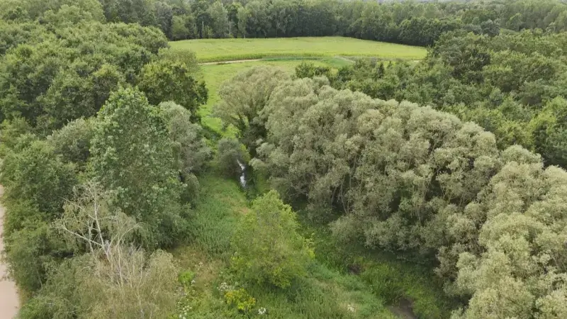 Branden in natuurgebied De Hooiberg in Haacht blijken aangestoken, zowel zaterdag als zondag
