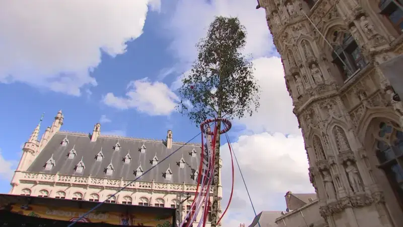 De Leuvense Meyboom verplaatst dit jaar