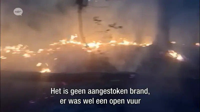 Nieuws woensdag 29 juli