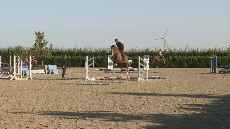 Regiogenoten Pieter Devos en Jeroen Devroe geselecteerd voor WK Jumping en Dressuur in Aken: "Doel is Olympische kwalificatie"