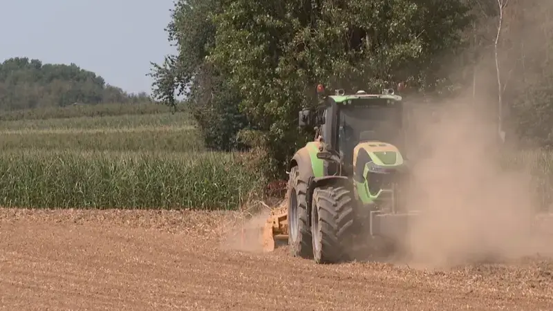 Mogelijks warmste zomer aller tijden: "Juli was 2 graden warmer, er viel maar 12% van de normale hoeveelheid regen en de zon scheen 100 uur meer dan normaal"
