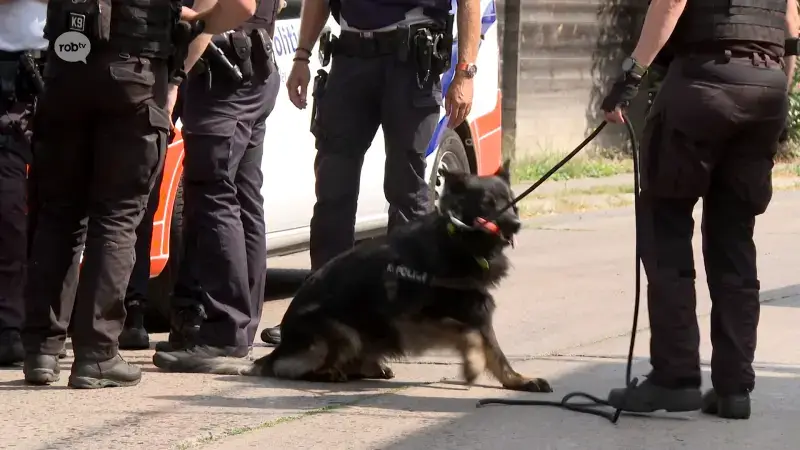 Tweede verdachte van inbraak in Heuvelstraat in Tielt-Winge nog altijd voortvluchtig