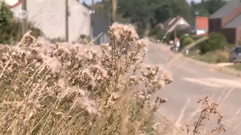 Vijfde hittegolf in onze regio komt eraan: "Dit is nooit eerder voorgekomen"
