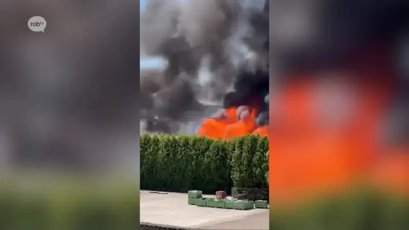 Grote brand bij bouwbedrijf André Celis langs Staatsbaan in Lubbeek: "Loods met afval en isolatiemateriaal verwoest"