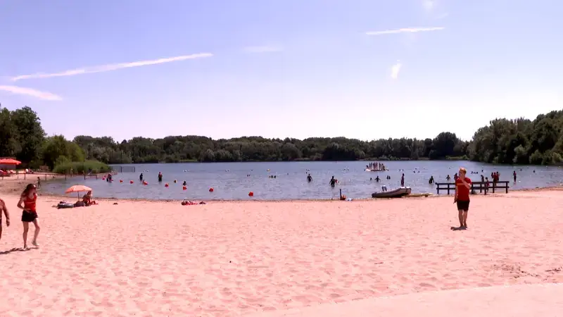 Kijk de film Ratatouille in openlucht aan de Plas van Rotslaar