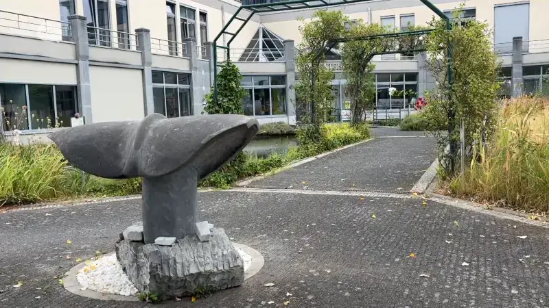 Kunstwerk "The Whale" is verhuisd naar gemeentehuis in Lubbeek: "Zo staat het op een iets prominentere plek"