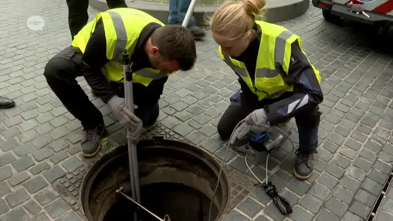 Leuven zet nieuw diervriendelijk systeem in om ratten te bestrijden: "Het registreert ook hoeveel er gedood worden"