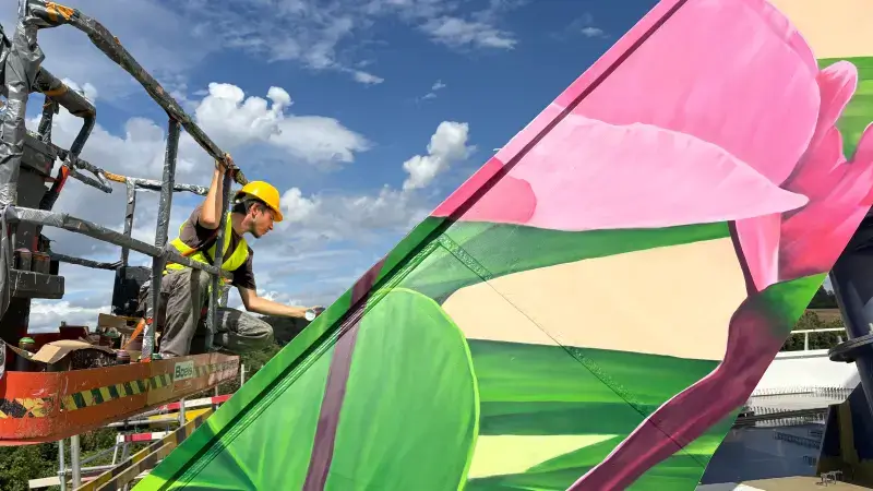 Nieuwe brug over E40 in Bertem krijgt kleurrijke tekeningen van kunstenaarscollectief Treepack: "Inspiratie uit lokale fauna en flora"