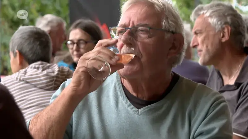 Sprankelend Hageland zet Hagelandse wijnregio in de kijker: "Kom hier regelmatig om te proeven"