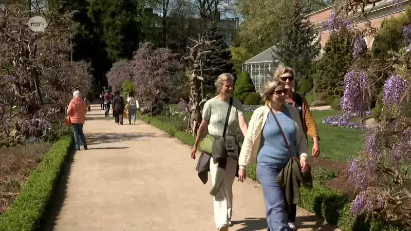 Morgen start nieuw programma van de Kruidtuin van Leuven: "Hopen mensen dichter bij de natuur te brengen"