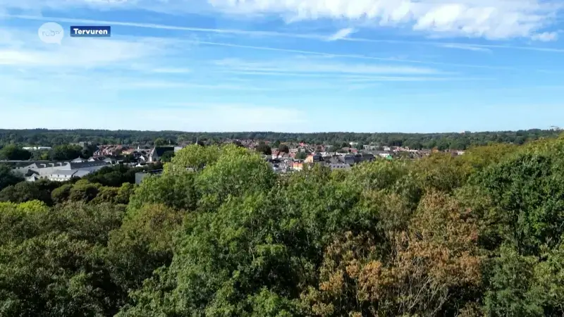 Groen+ Tervuren vraagt gemeentebestuur om specifiek noodplan uit te werken bij natuurbrand: "Tervuren is helemaal ontsloten door natuur"