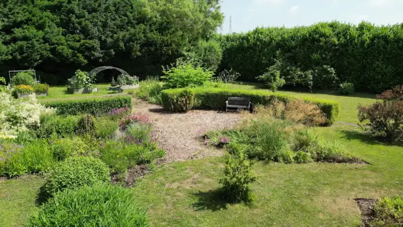 Via 'Behaag Je Tuin': kan je opnieuw streekeigen plantgoed bestellen "Zo geven we de biodiversiteit een boost"
