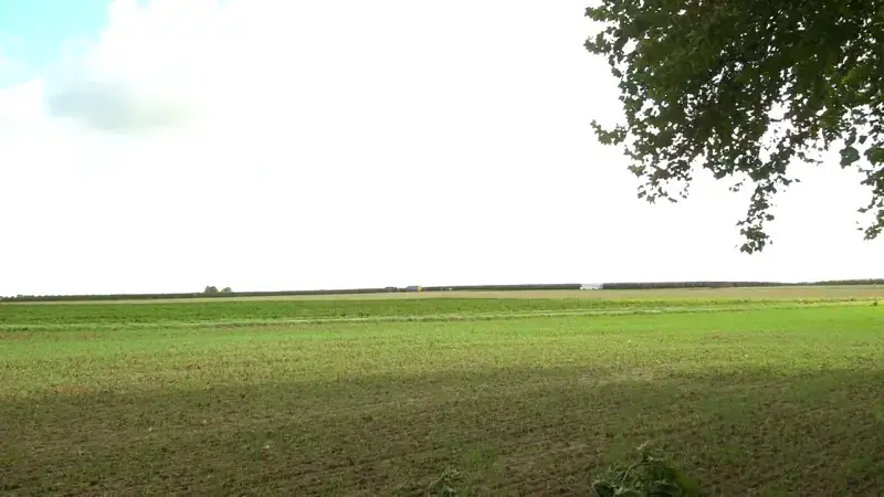 Actiecomité tegen windmolens in Landen trekt met 4 eisen naar Vlaamse Regering: "Nood aan een brede regionale visie"