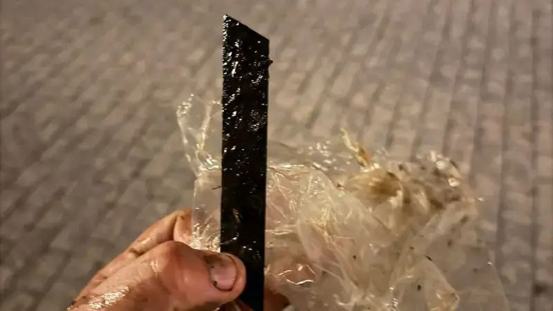 Worst met ... mes is bijna fataal voor hond in Brouwerij Loriersstraat in Hoegaarden