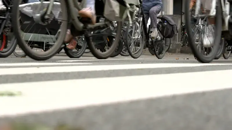 Hoofdafbeelding voor artikel ONTDEK: Wat gebeurt er in…