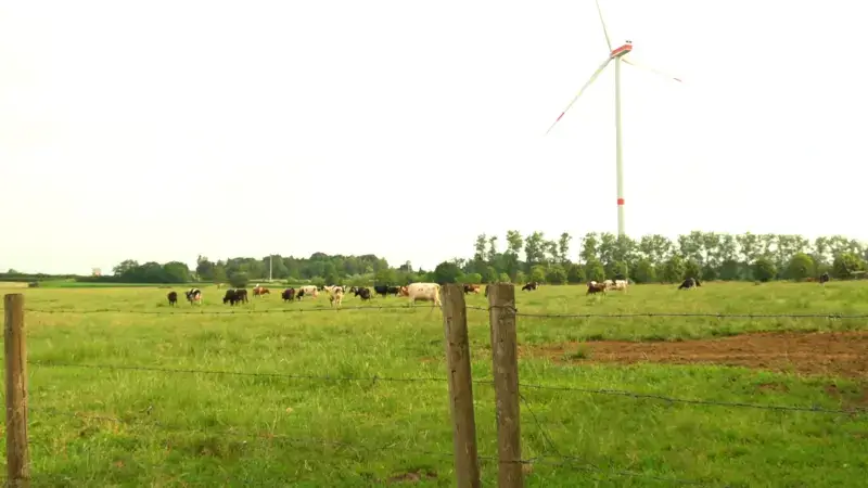 Gratis klimaatboom voor veehouders uit onze regio
